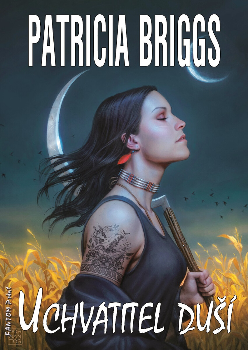 Levně Uchvatitel duší - Patricia Briggs