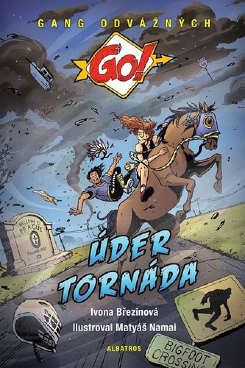 Kniha Úder tornáda