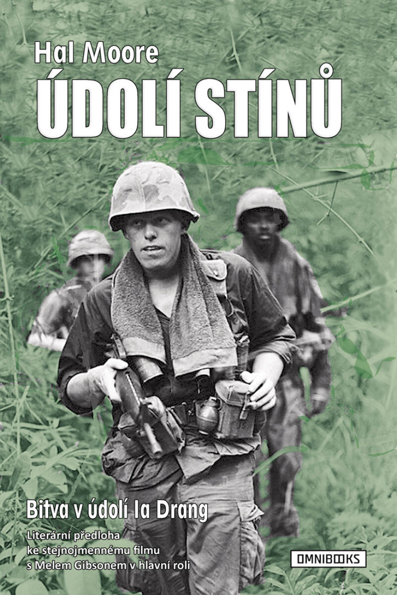 Údolí stínů - Harald Moore