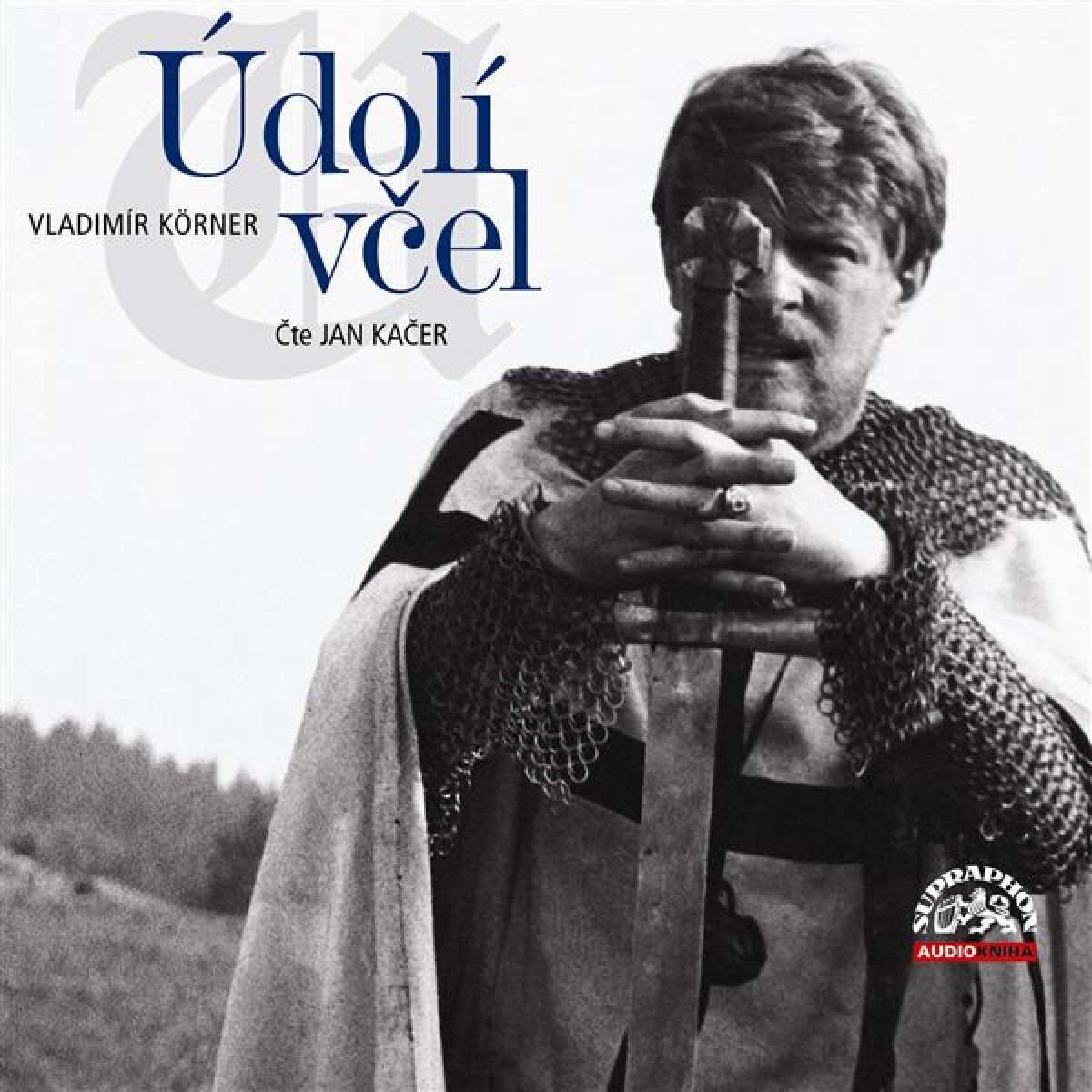 Levně Údolí včel - Vladimír Körner - audiokniha