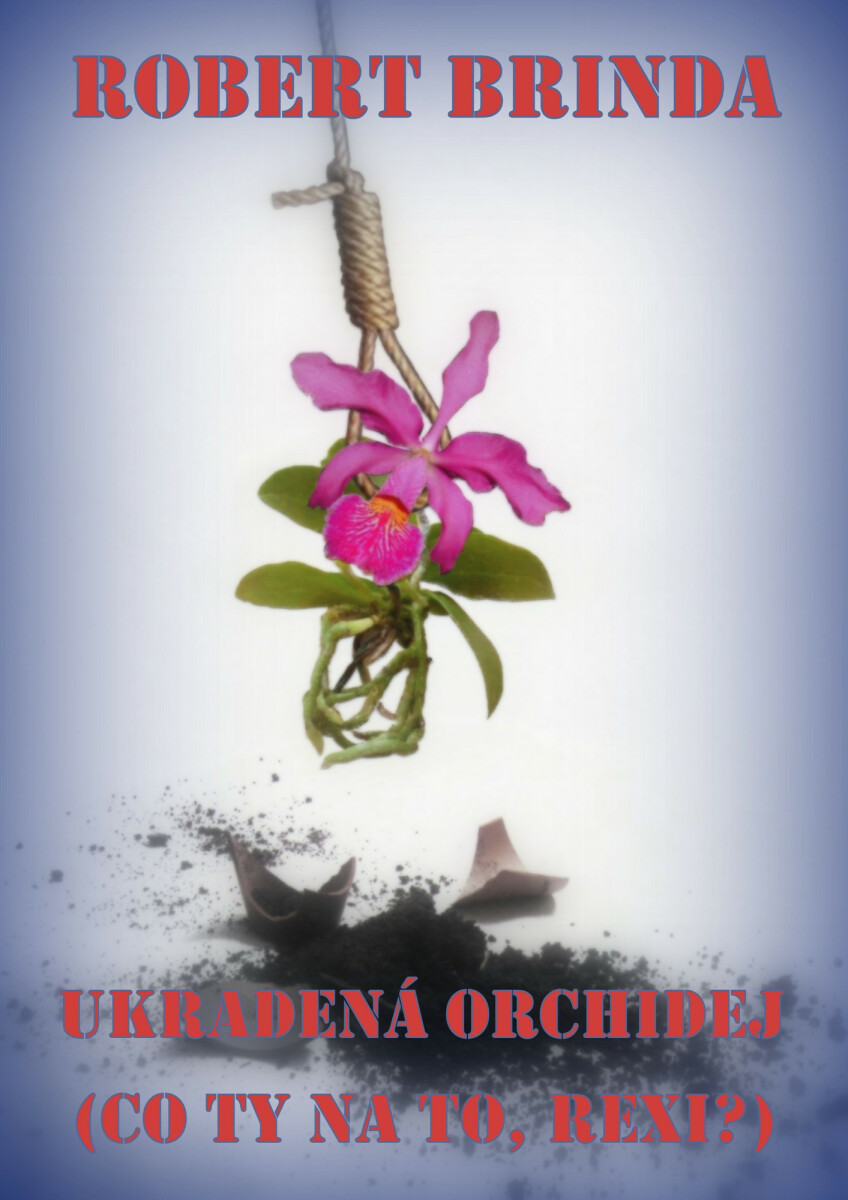 Ukradená orchidej - Robert Brinda