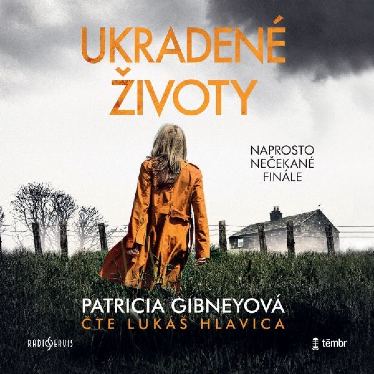 Levně Ukradené životy - Patricia Gibneyová - audiokniha