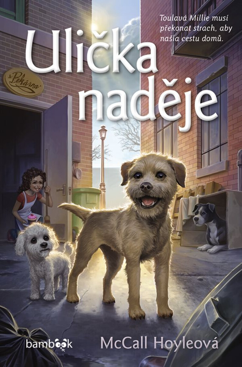 Levně Ulička naděje - McCall Hoyleová
