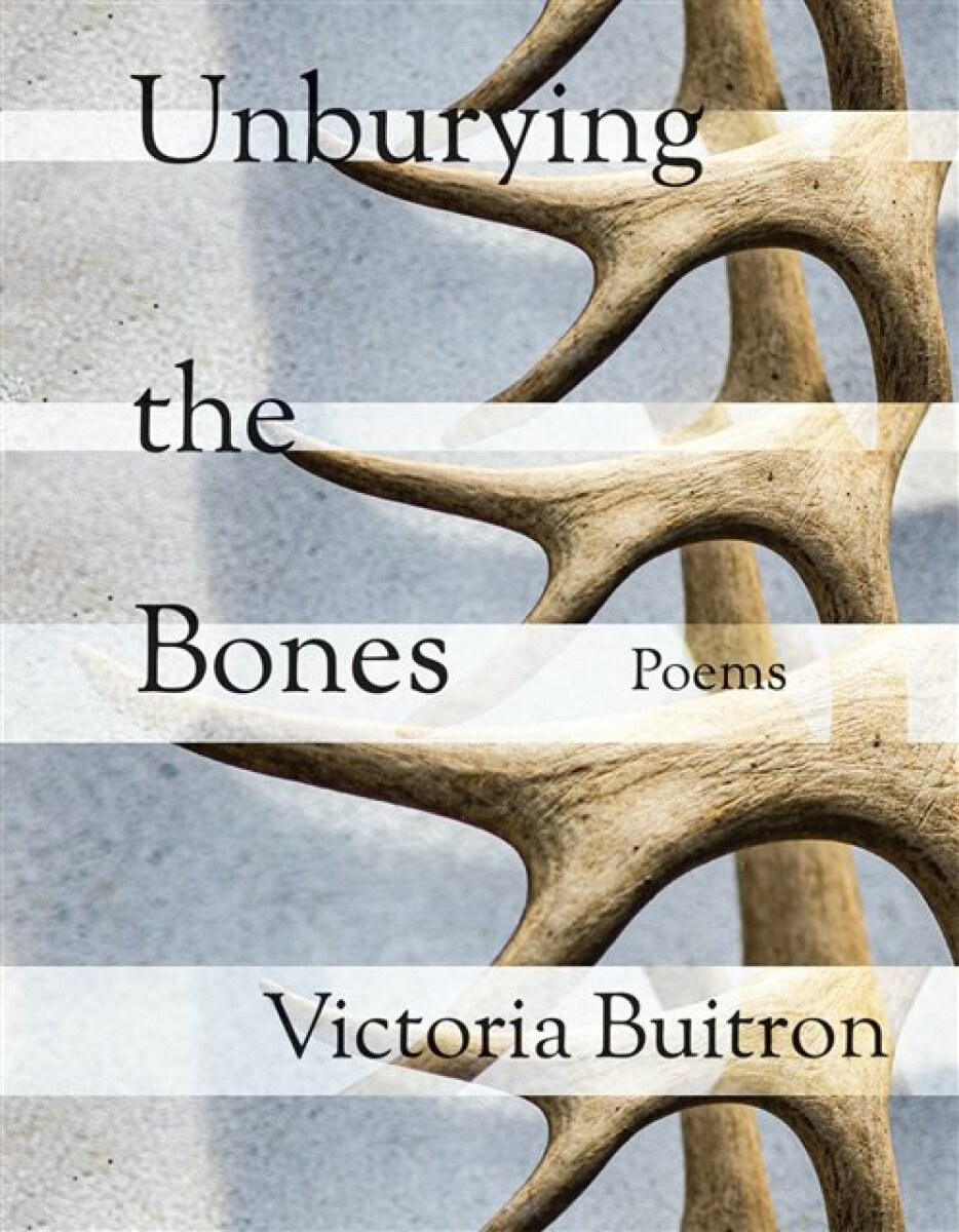 Kniha Unburying the Bones Volume 1