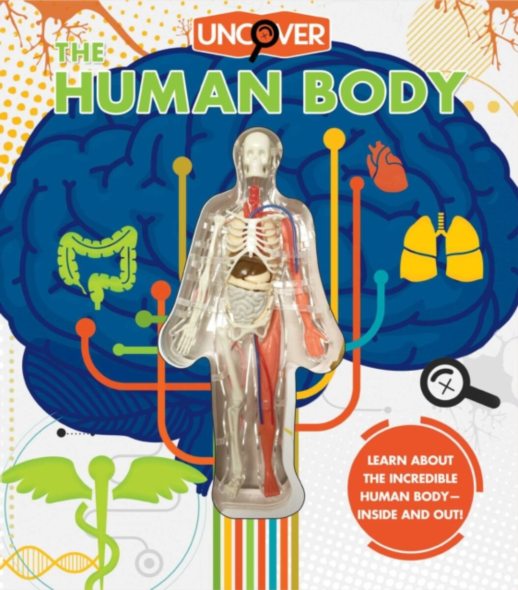 Kniha Uncover the Human Body