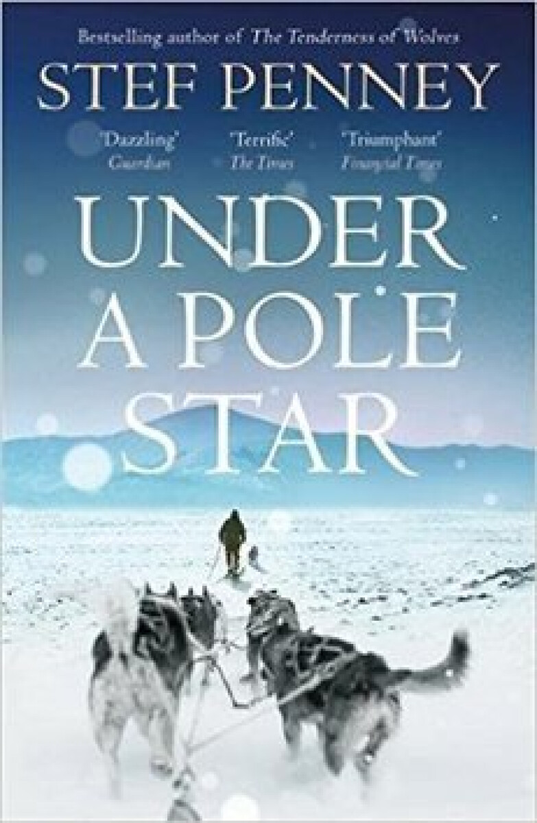 Kniha Under a Pole Star