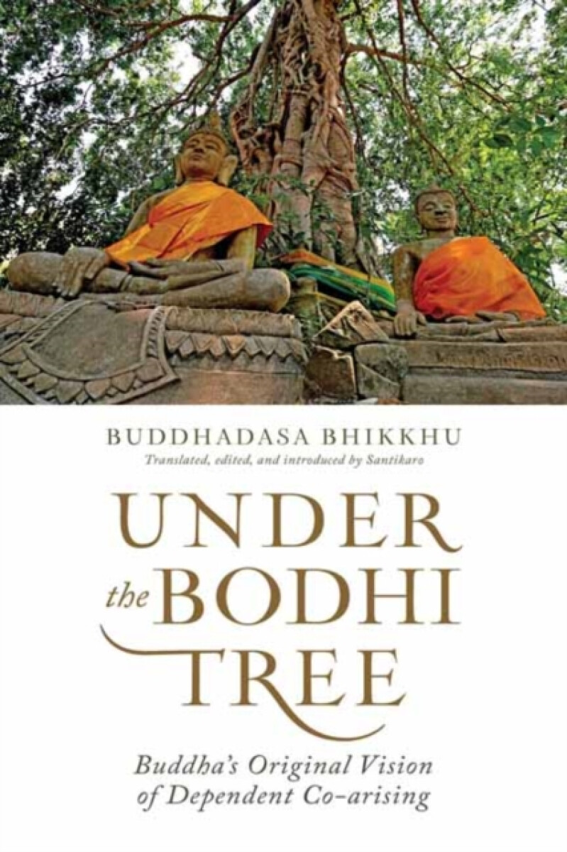 Kniha Under the Bodhi Tree