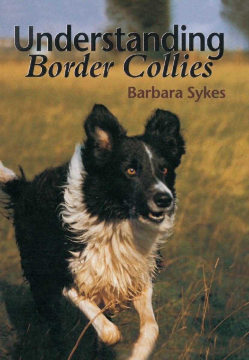 Kniha Understanding Border Collies