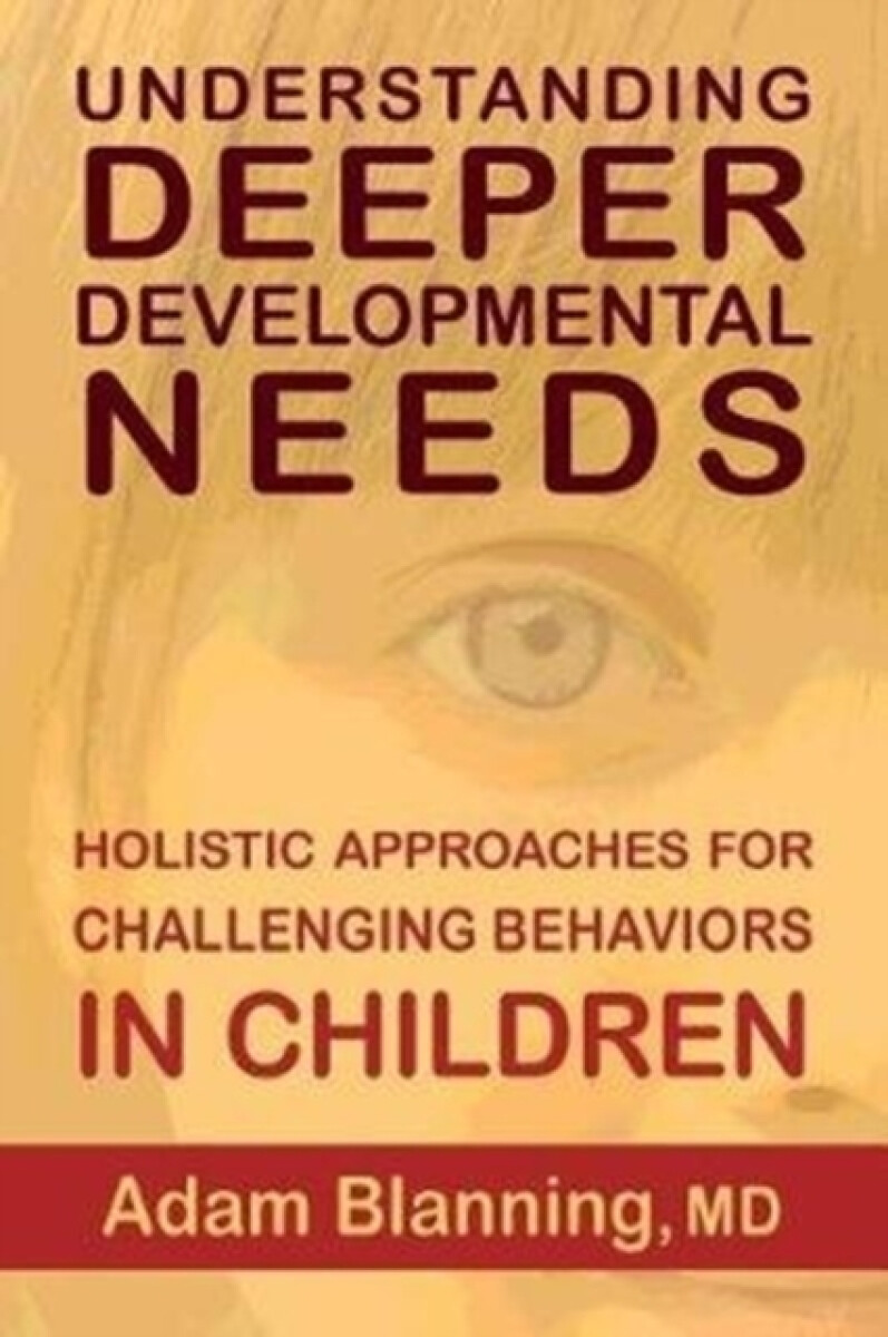 Kniha Understanding Deeper Developmental Needs