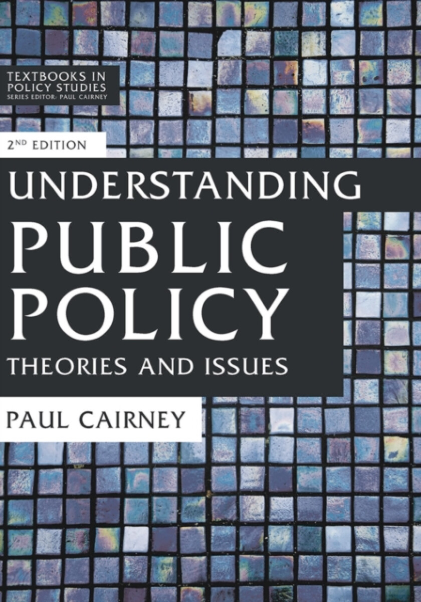 Kniha Understanding Public Policy
