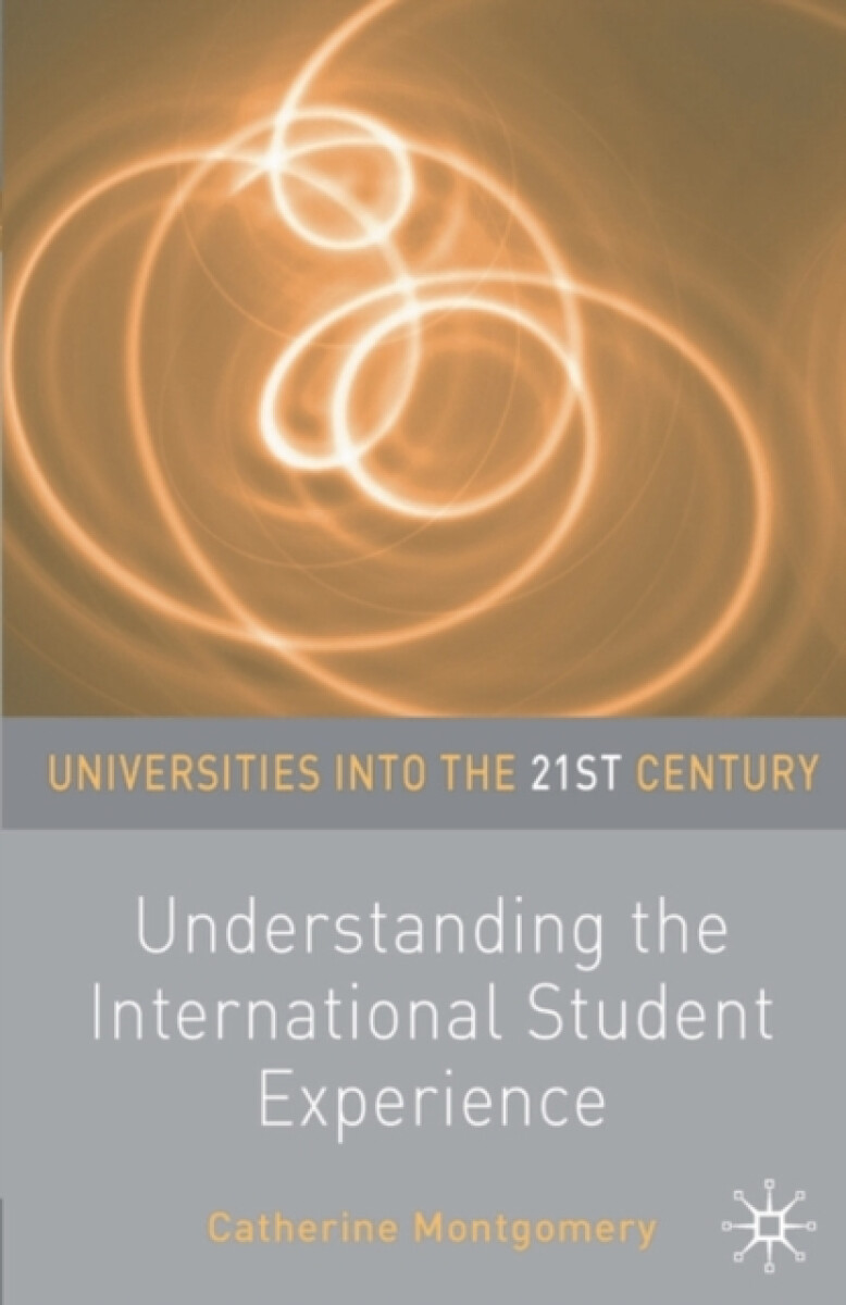 Kniha Understanding the International Student Experience