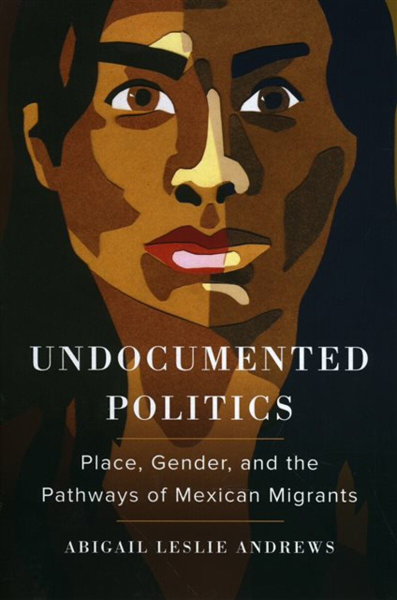 Kniha Undocumented Politics