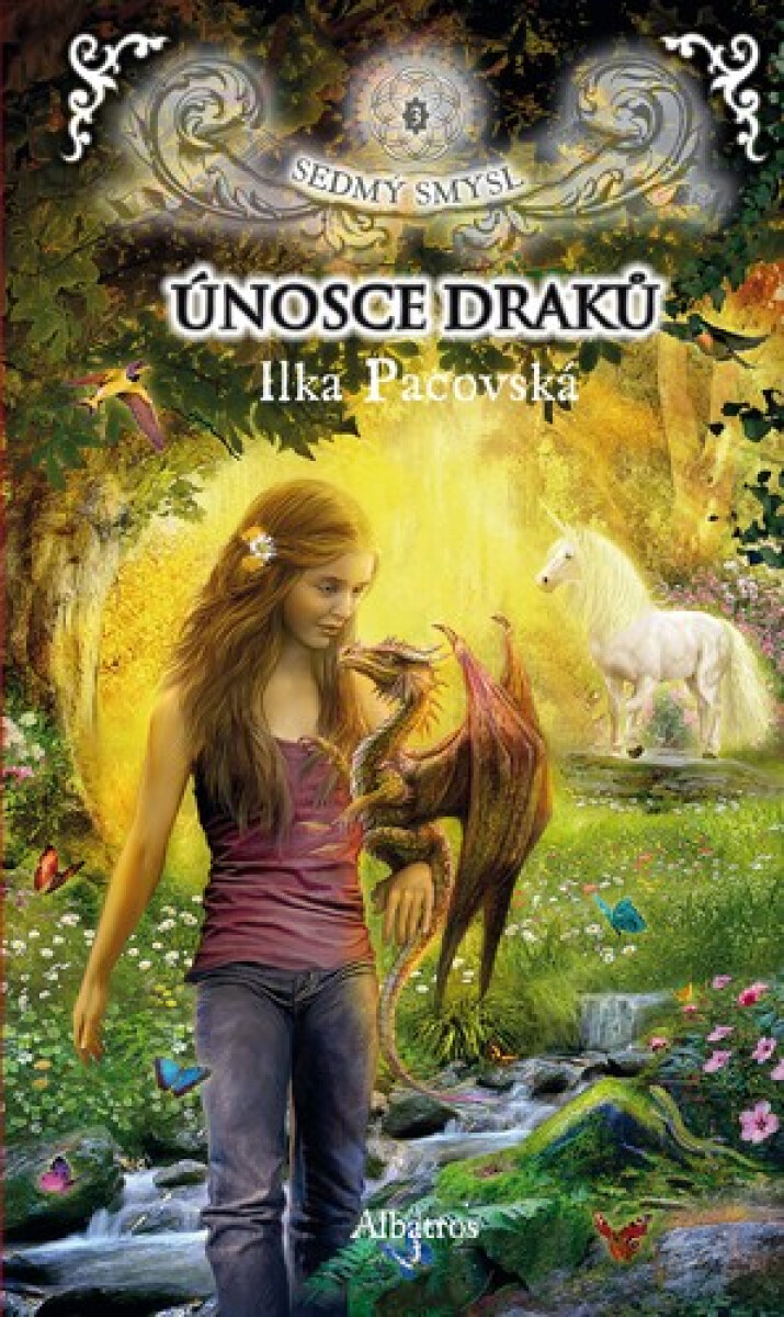 Kniha Únosce draků (brož.)