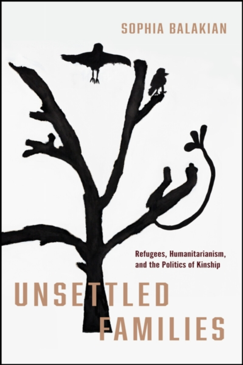 Kniha Unsettled Families