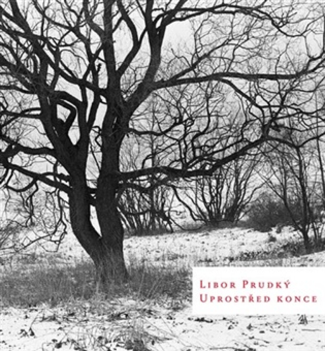 Kniha Uprostřed konce