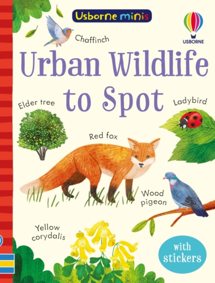 Kniha Urban Wildlife to Spot