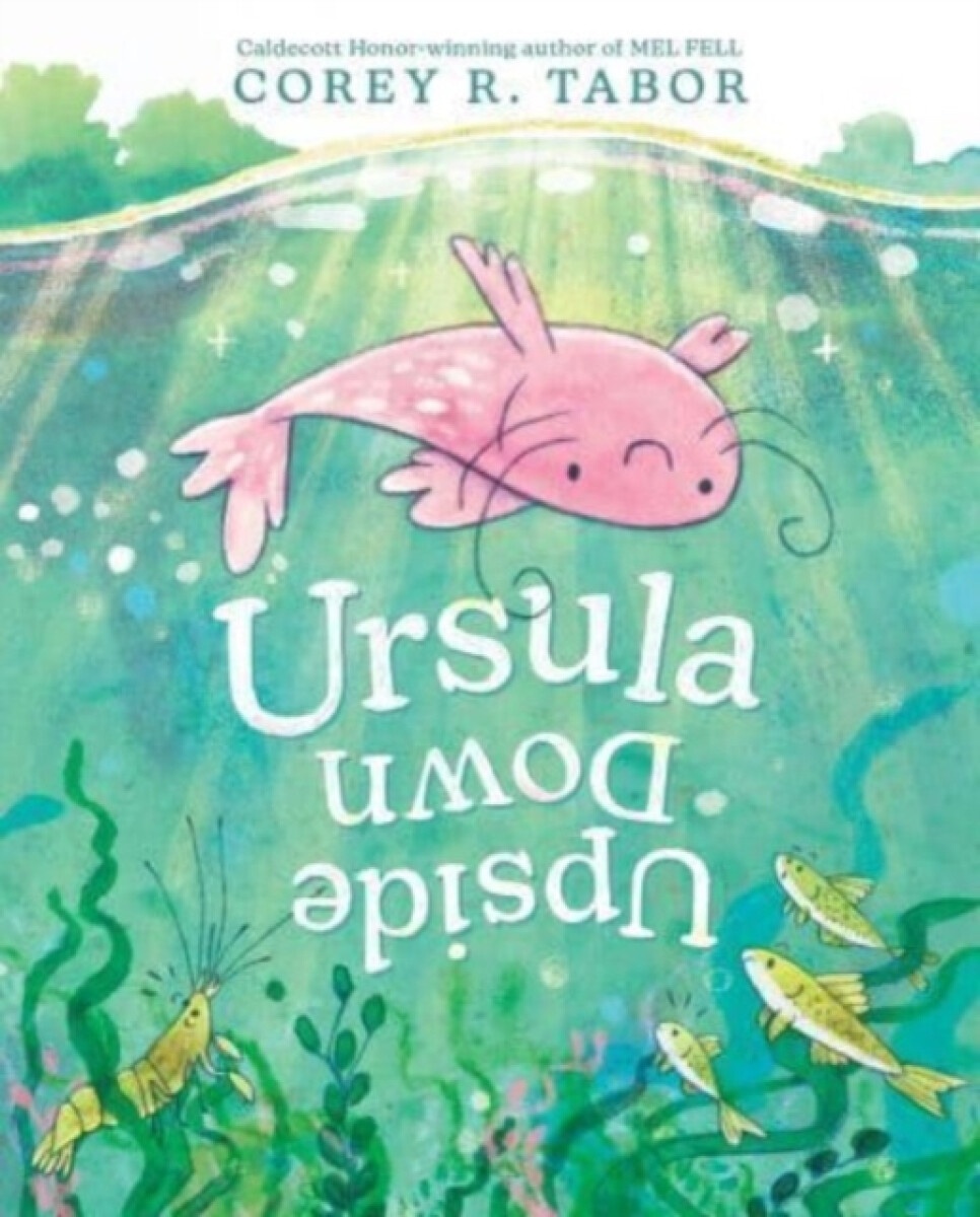 Kniha Ursula Upside Down