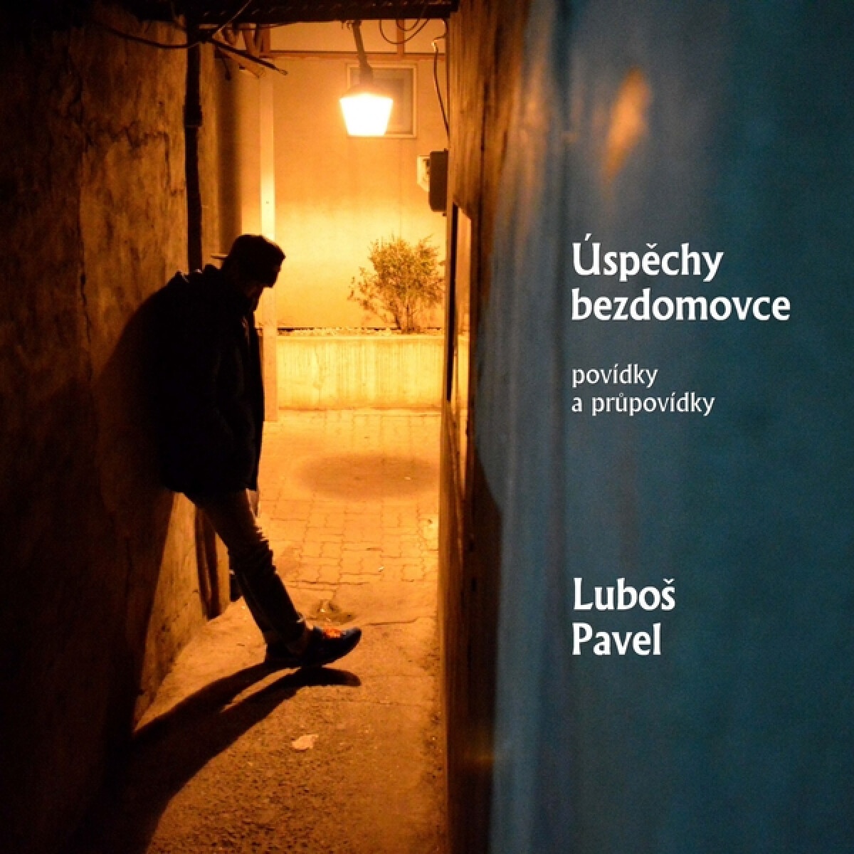 Levně Úspěchy bezdomovce - Luboš Pavel - audiokniha