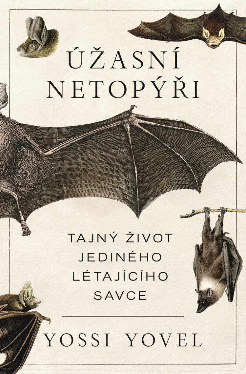 Úžasní netopýři - Yosef Yovel