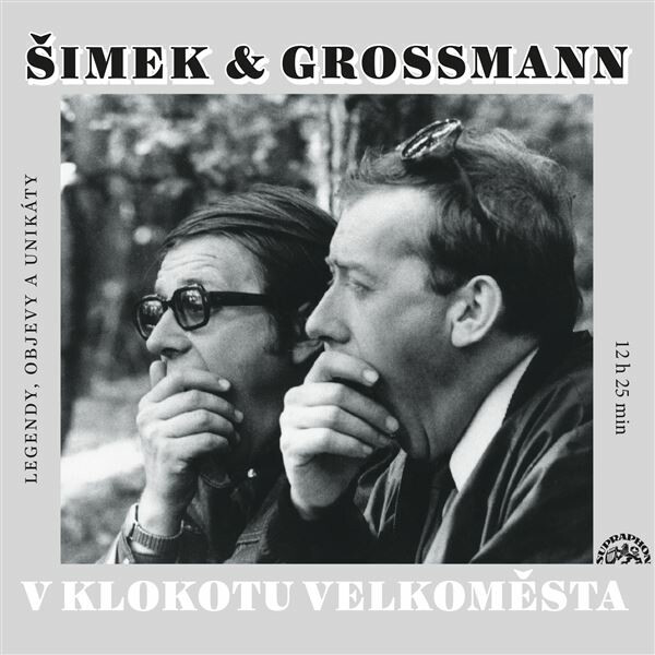 Levně V klokotu velkoměsta - audiokniha