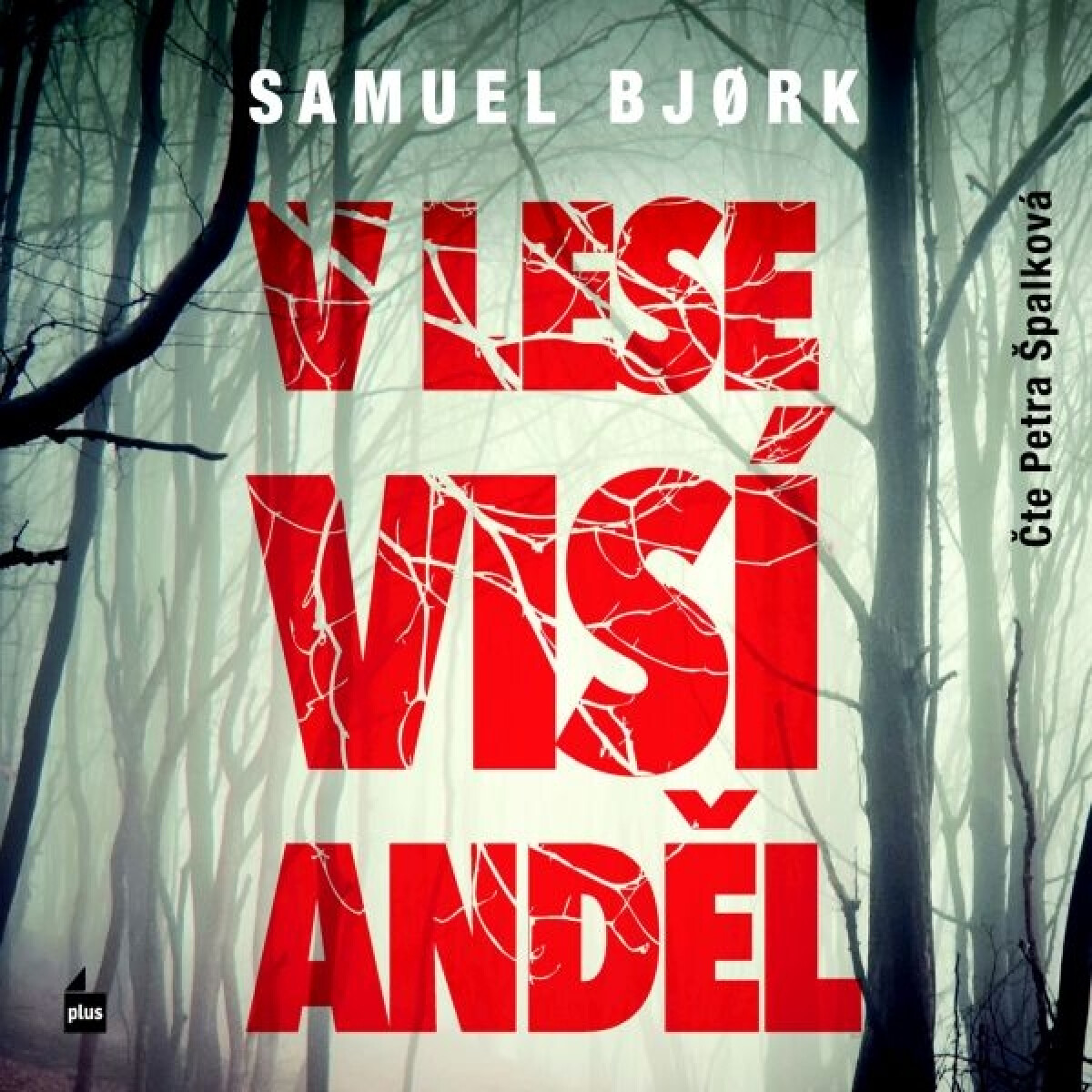 V lese visí anděl - Samuel Bjørk