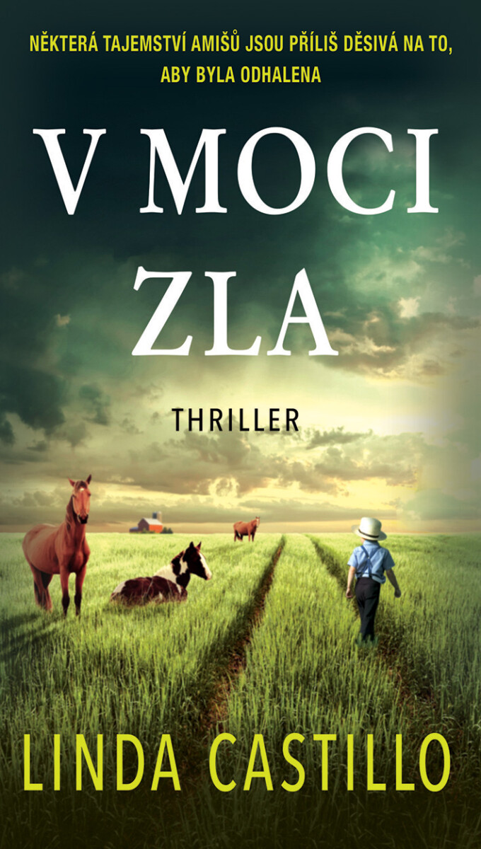 Levně V moci zla - Linda Castillo