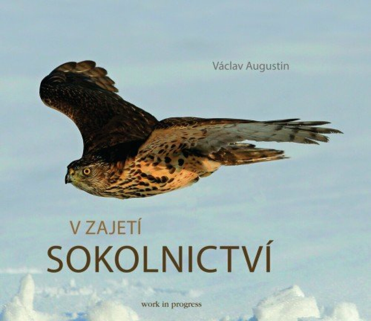 V zajetí sokolnictví - Václav Augustin