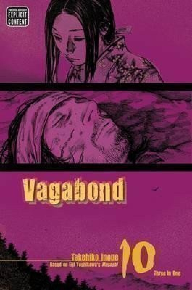 Kniha Vagabond (Vizbig Edition) Volume 10