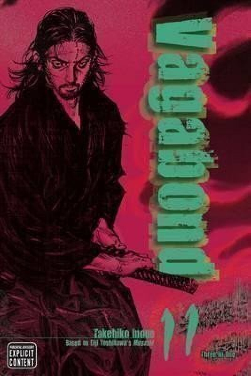 Kniha Vagabond (Vizbig Edition) Volume 11