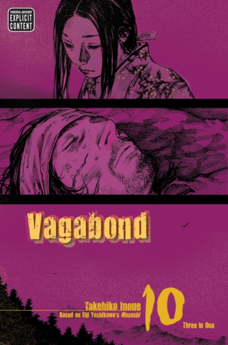 Kniha Vagabond (Vizbig Edition) Volume 10