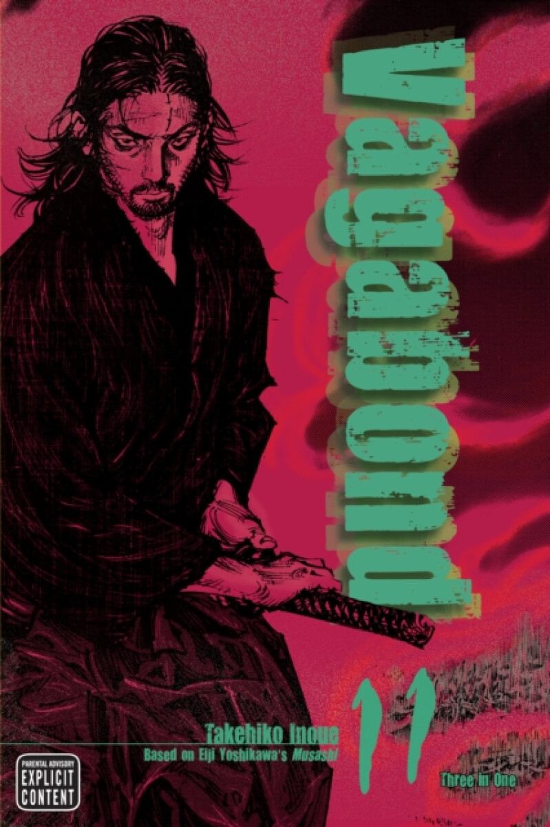 Kniha Vagabond (Vizbig Edition) Volume 11