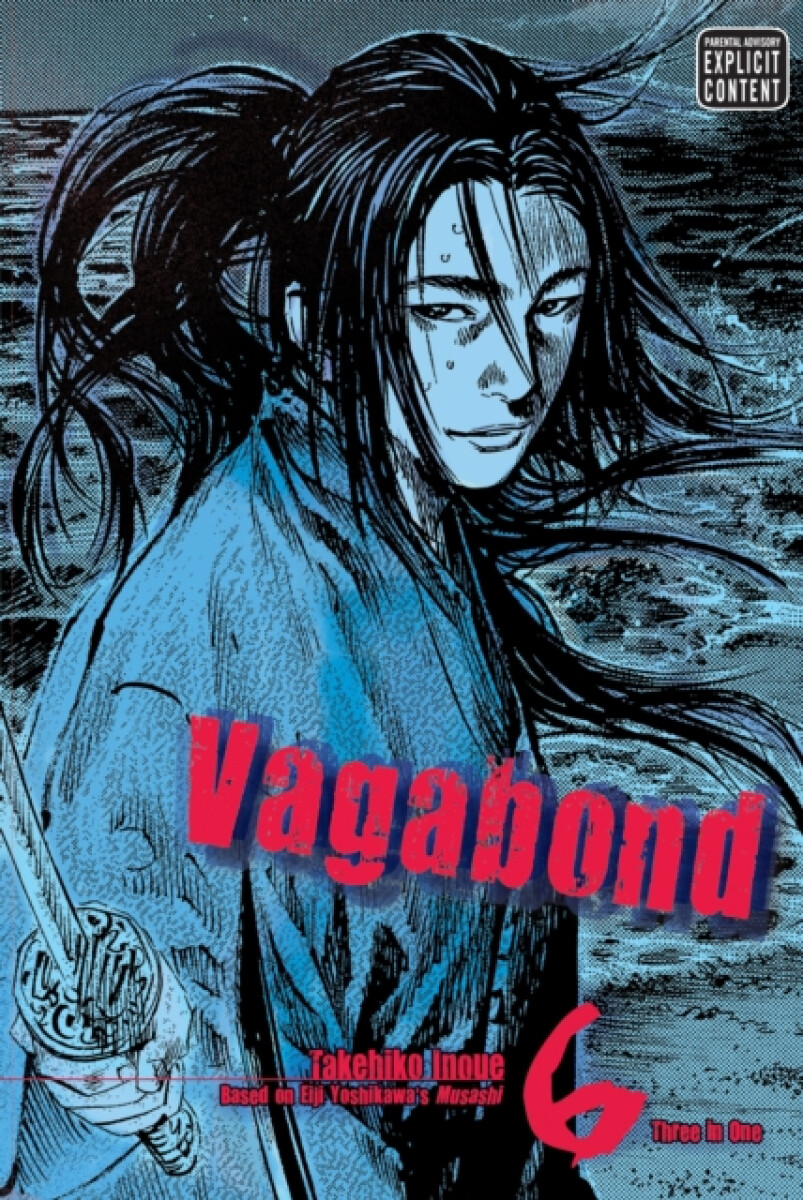 Kniha Vagabond (Vizbig Edition) Volume 6