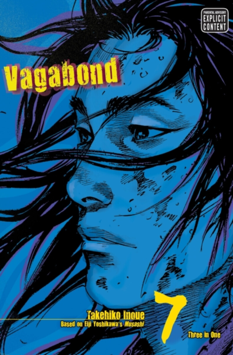 Kniha Vagabond (Vizbig Edition) Volume 7