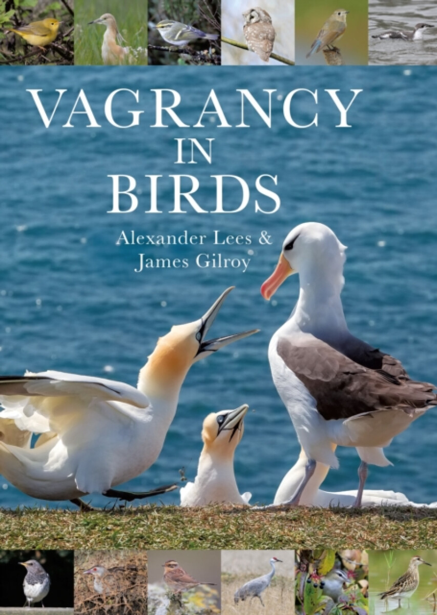 Kniha Vagrancy in Birds