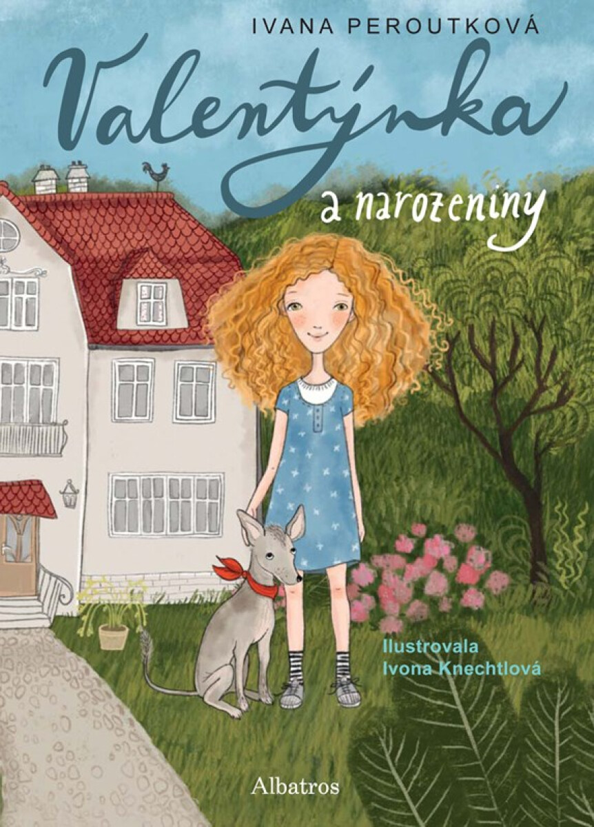 Kniha Valentýnka a narozeniny