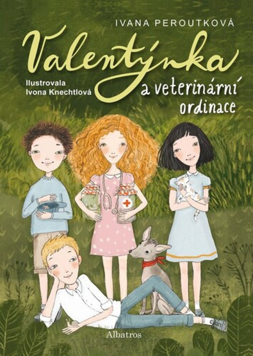 Kniha Valentýnka a veterinární ordinace