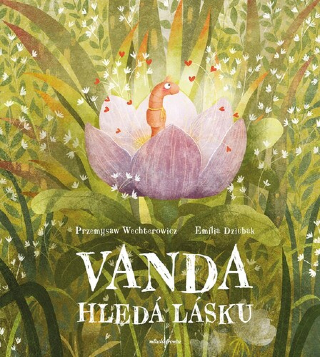 Kniha Vanda hledá lásku