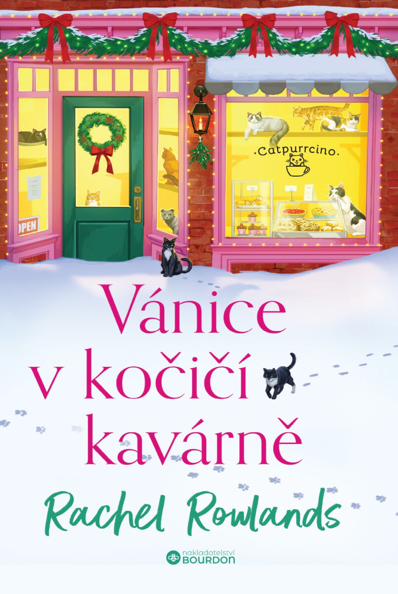 Vánice v kočičí kavárně - Rachel Rowlands
