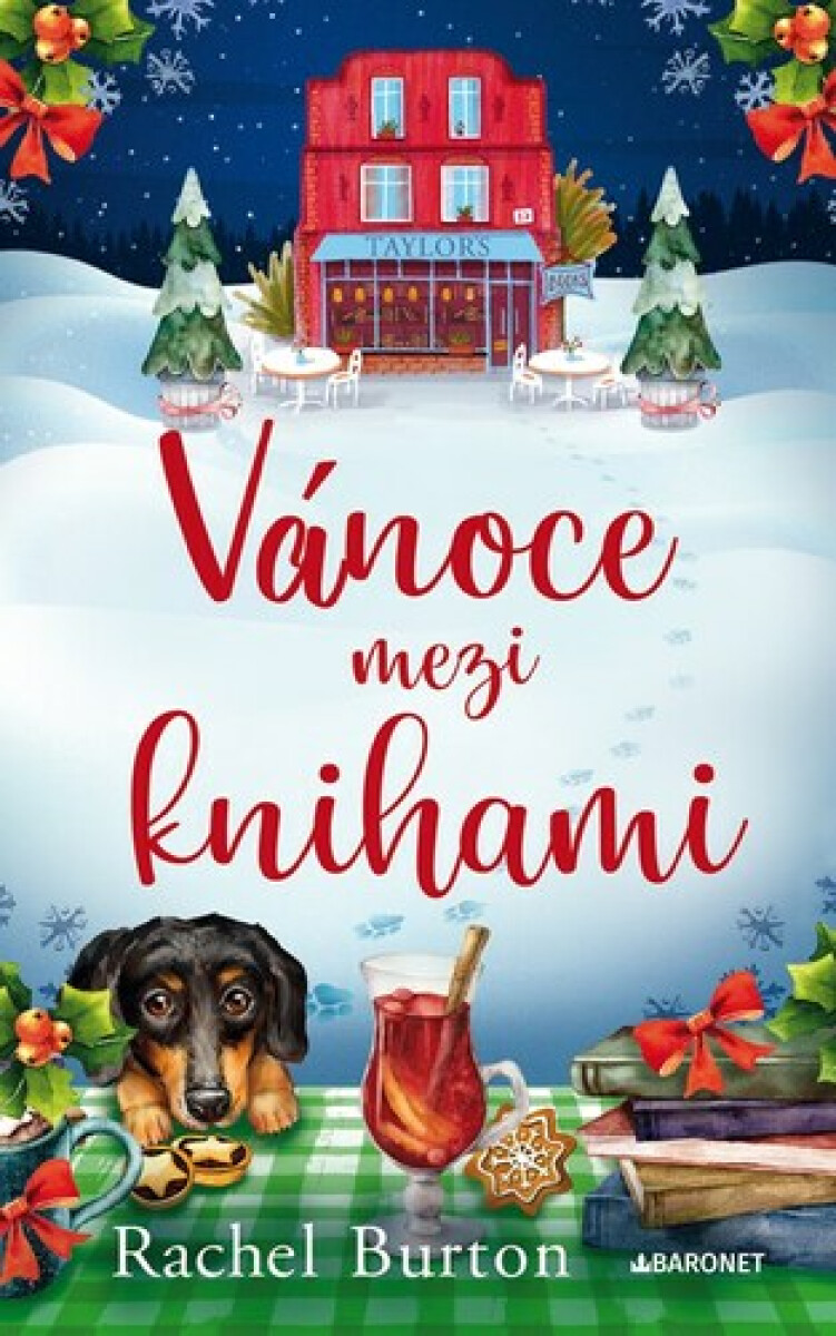 Kniha Vánoce mezi knihami