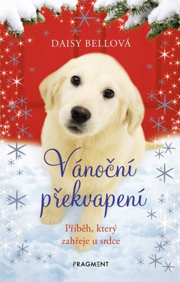Kniha Vánoční překvapení