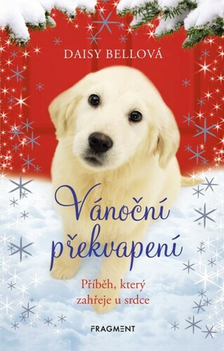 Kniha Vánoční překvapení