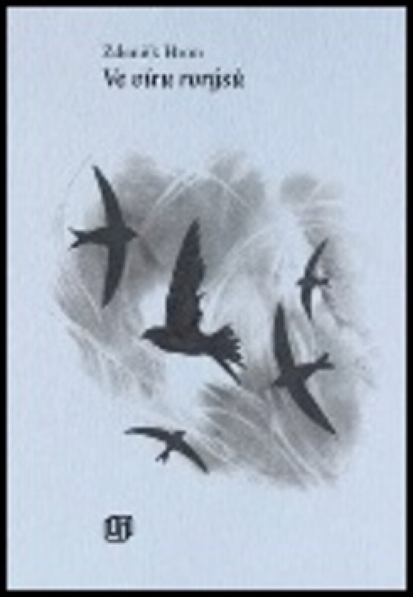 Kniha Ve víru rorýsů