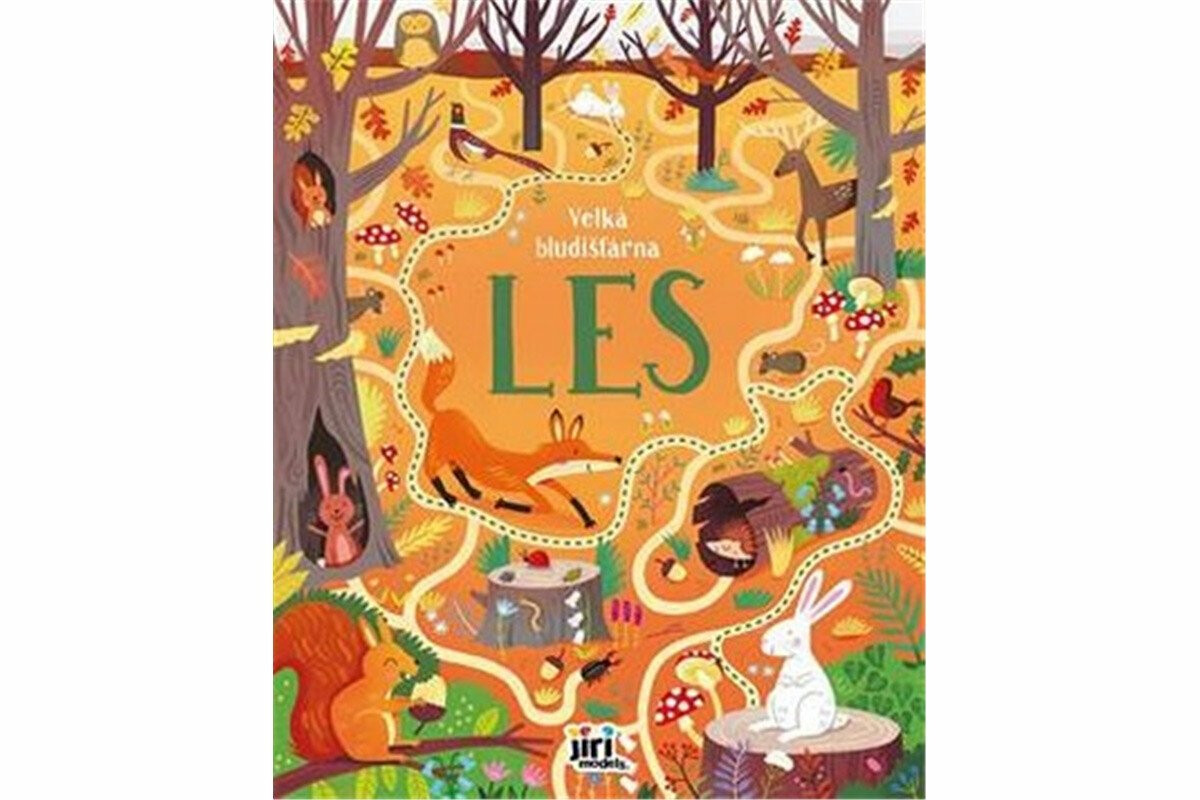 Kniha Velká bludišťárna Les