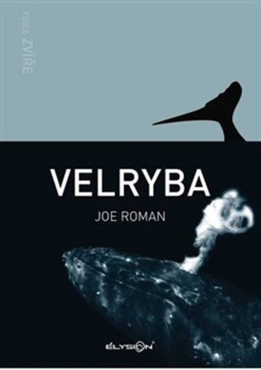 Kniha Velryba