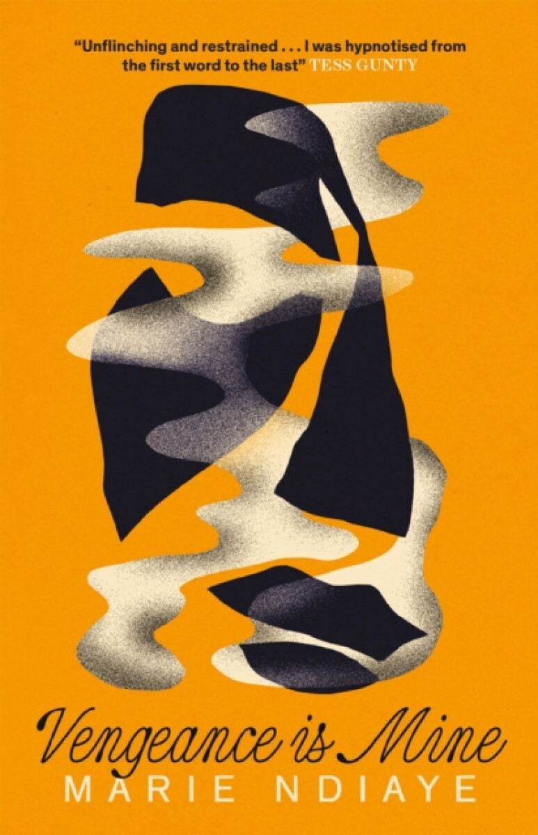 Kniha Vengeance is Mine