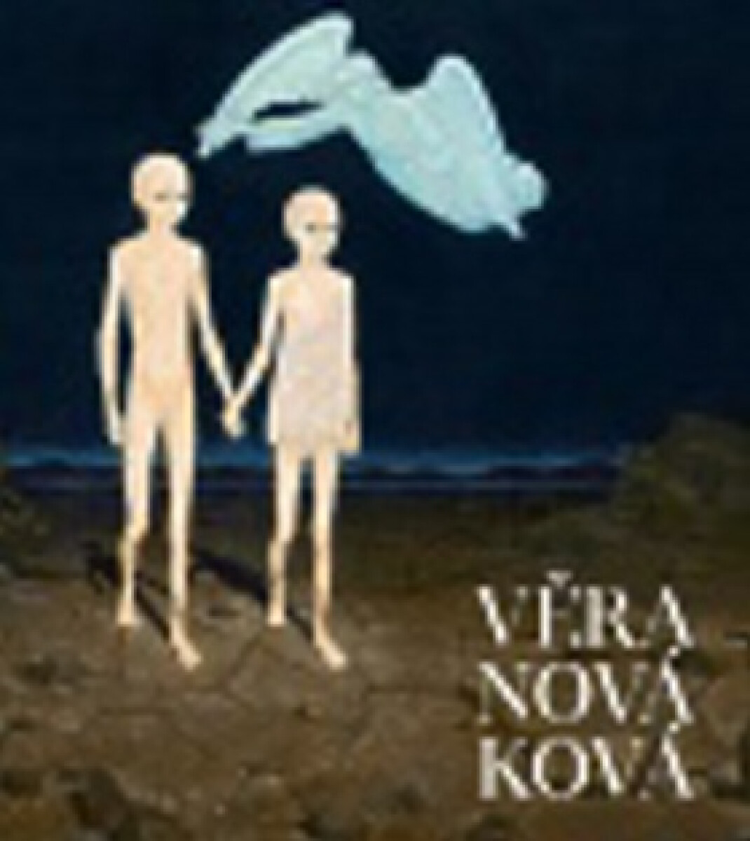 Kniha Věra Nováková – monografie