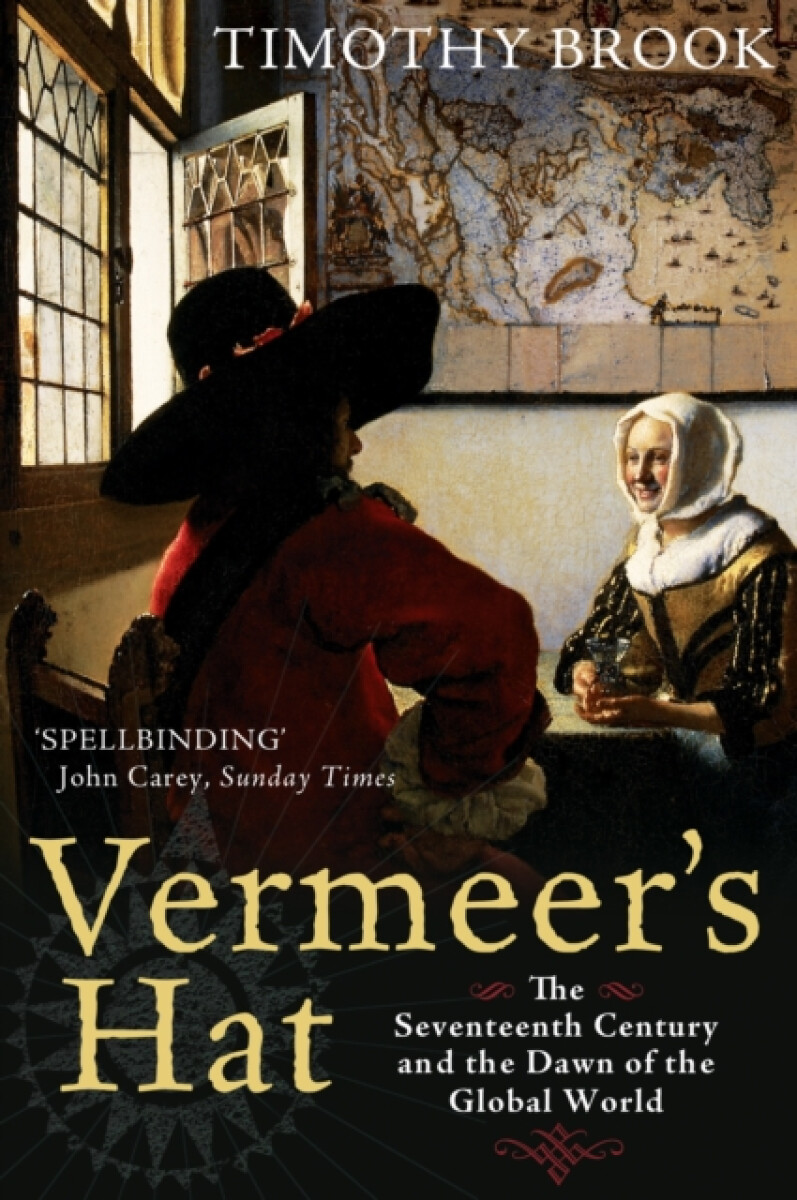 Kniha Vermeer's Hat