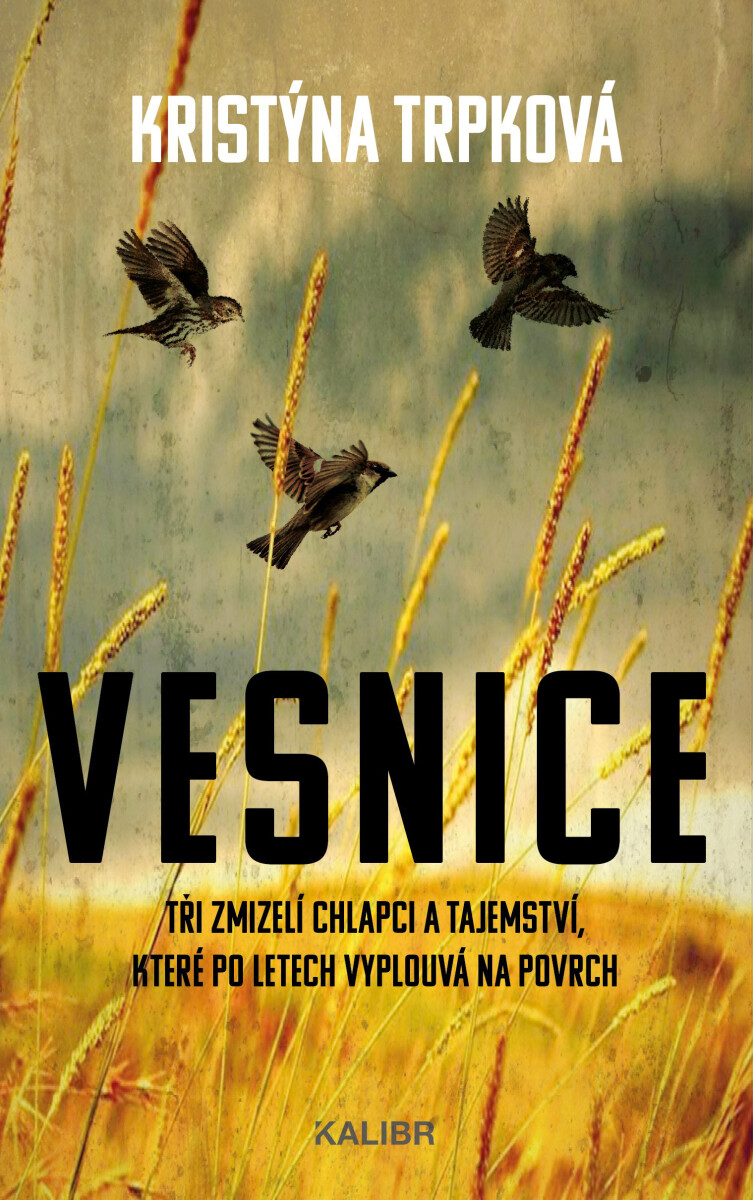 Levně Vesnice - Kristýna Trpková