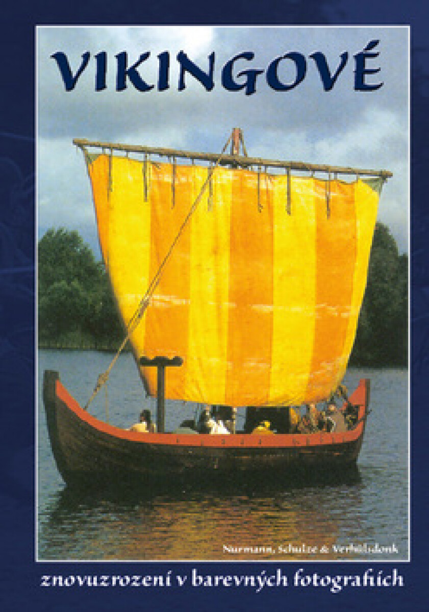 Kniha Vikingové