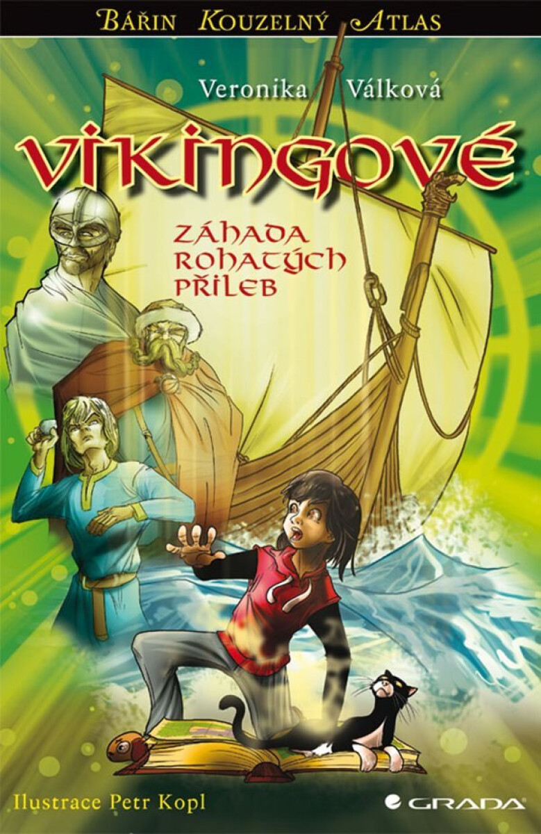 Kniha Vikingové - Záhada rohatých přileb